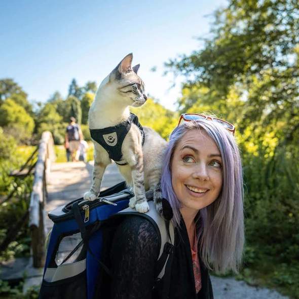 Reflective Pet Harness (Adjustable & Breathable)