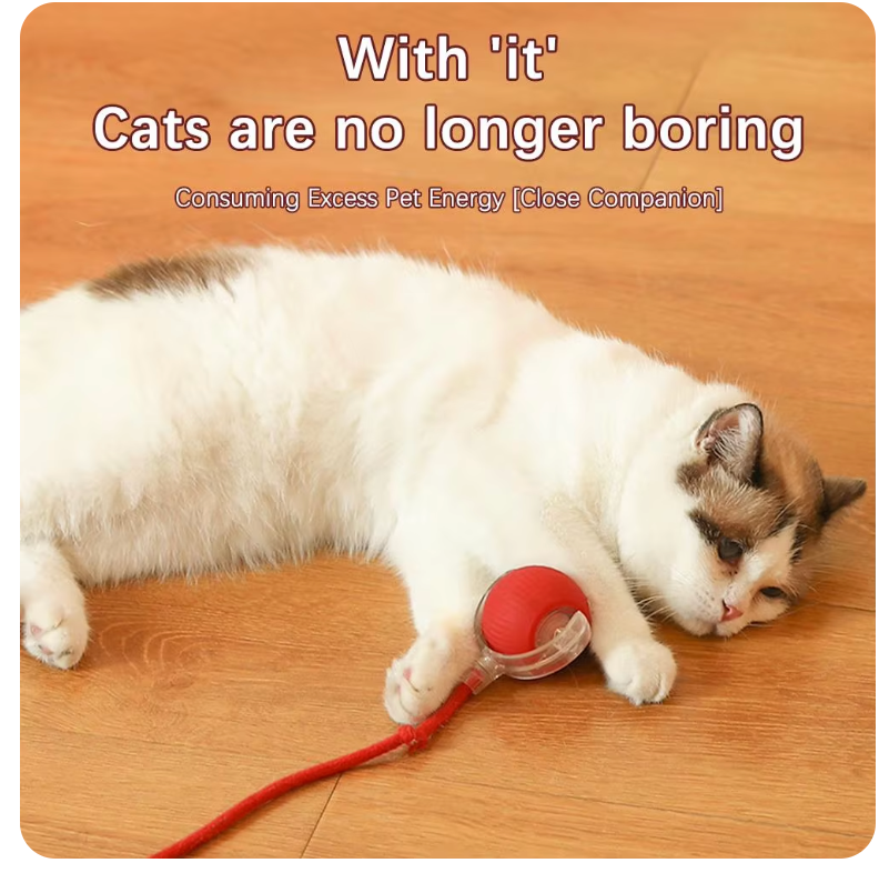 Interactive Automatic Rolling Ball with Fake Tail for Cats and Dogs