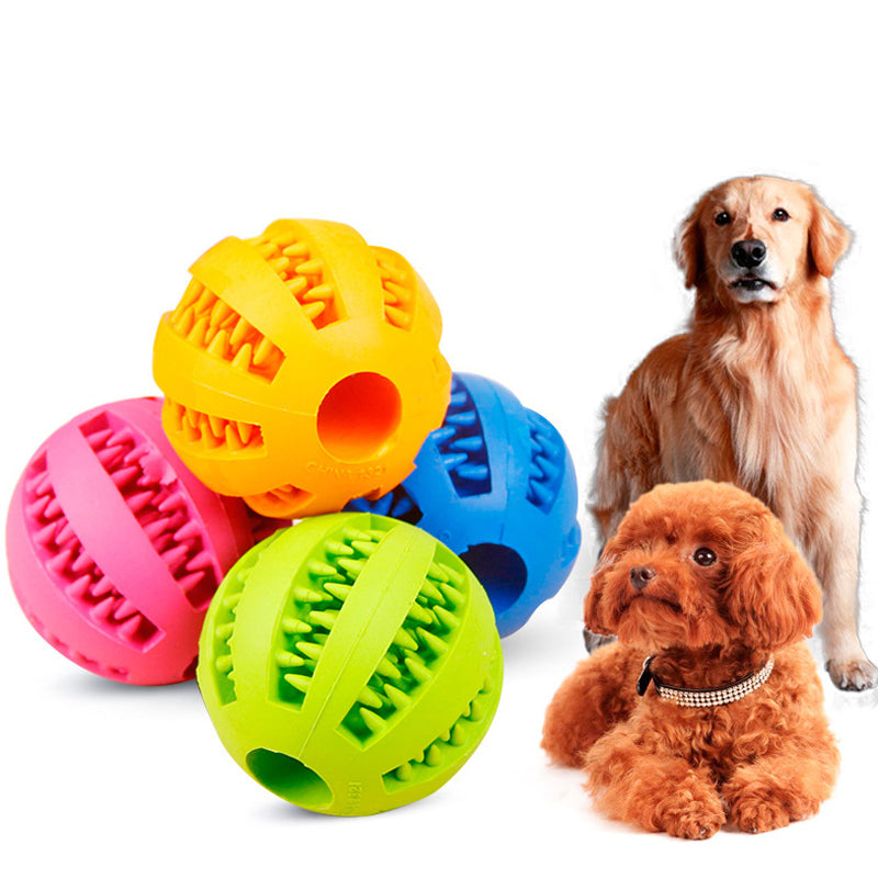 Dental Chew Toy