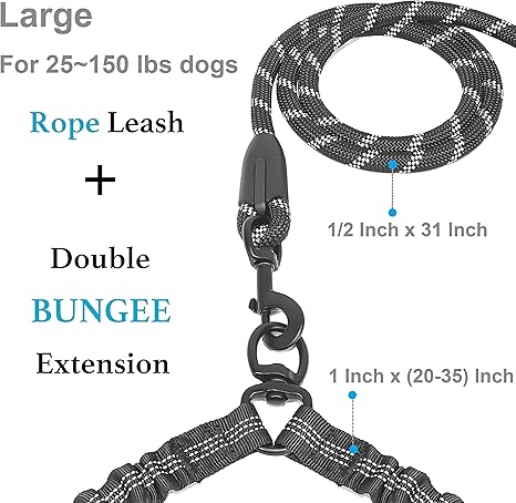 Double Dog Leash with 360° Swivel & No-Tangle Design