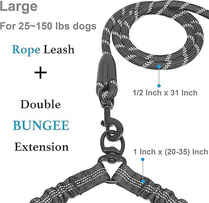 Double Dog Leash with 360° Swivel & No-Tangle Design
