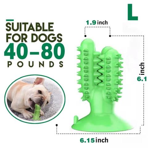 Dog Toothbrush Cactus Toy