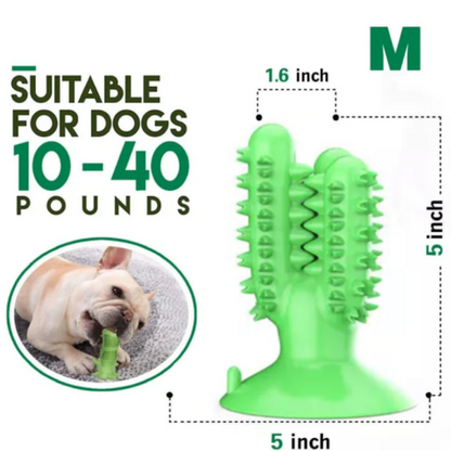 Dog Toothbrush Cactus Toy