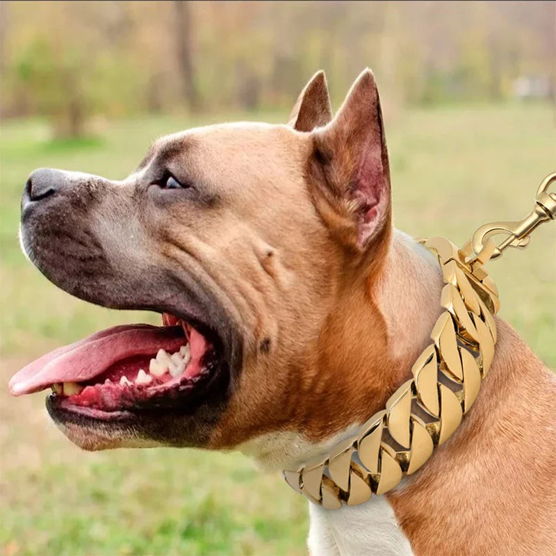 Cuban Link Dog Necklace (Heavy Duty)