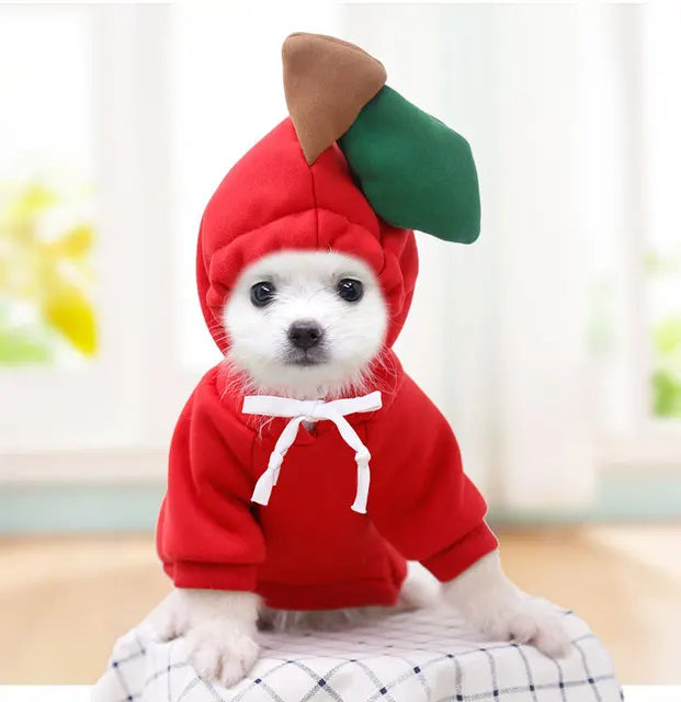 Cute Fruity Animal Hoodie (Dogs/Cats)