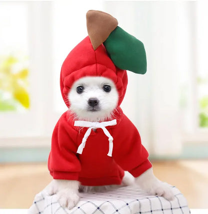 Cute Fruity Animal Hoodie (Dogs/Cats)