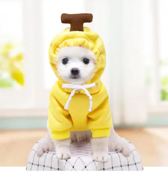 Cute Fruity Animal Hoodie (Dogs/Cats)