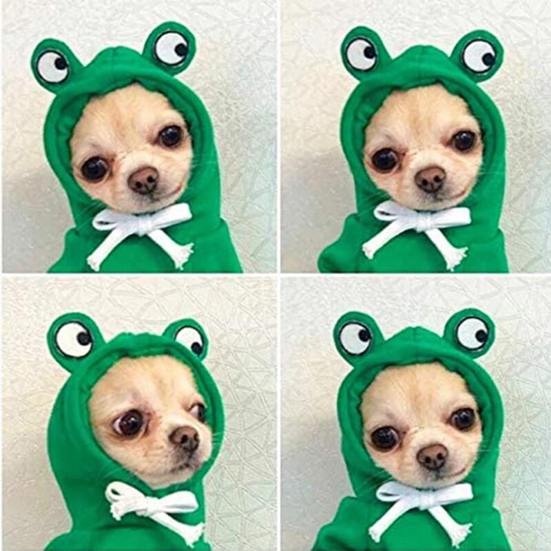 Cute Fruity Animal Hoodie (Dogs/Cats)