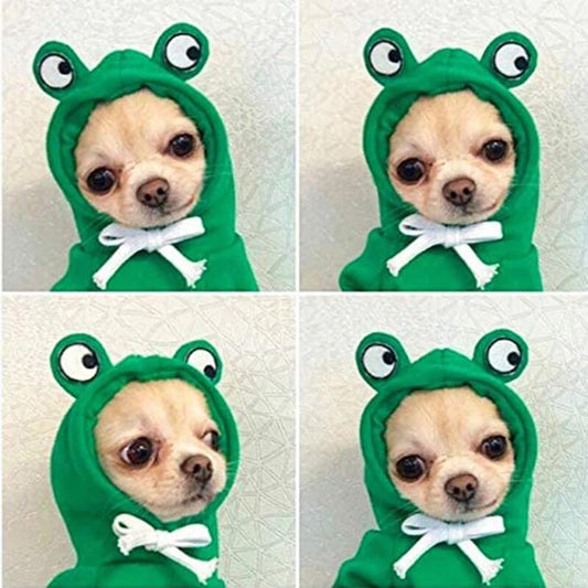 Cute Fruity Animal Hoodie (Dogs/Cats)