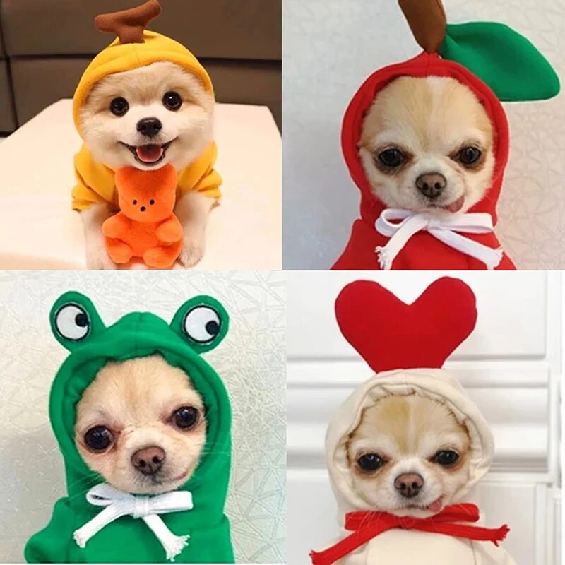 Cute Fruity Animal Hoodie (Dogs/Cats)