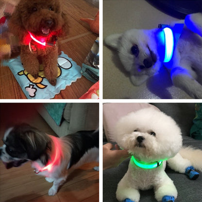 LED Dog Collar
