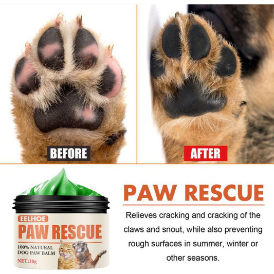 Organic Paw Balm (Heals and Protect)