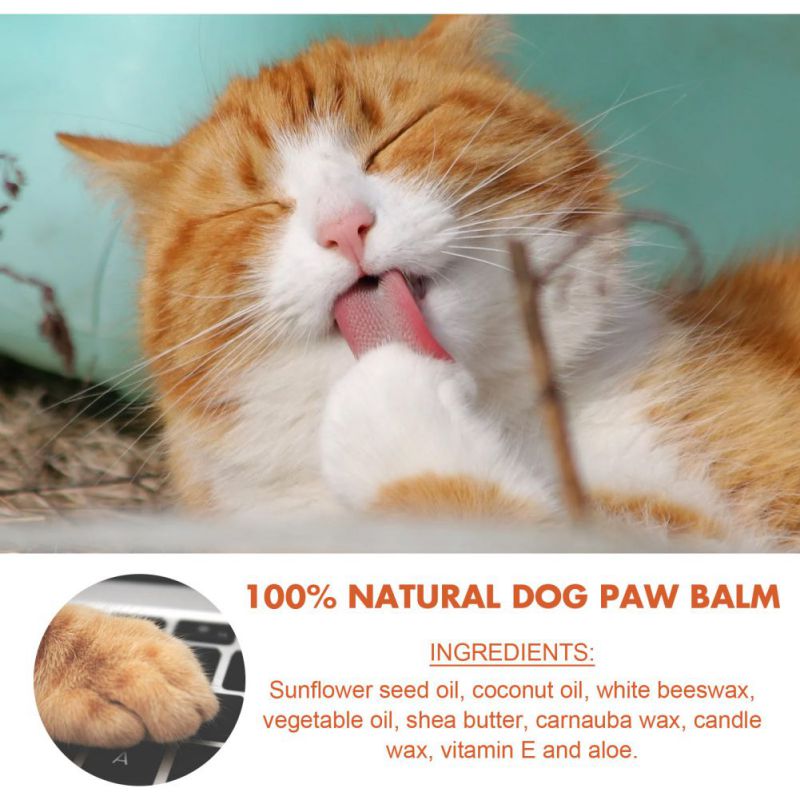 Organic Paw Balm (Heals and Protect)