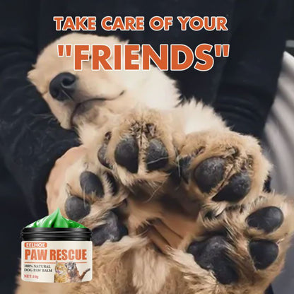 Organic Paw Balm (Heals and Protect)