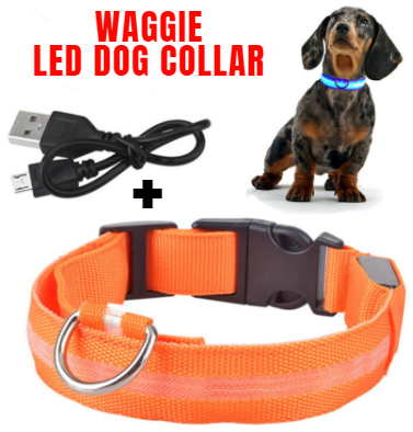 LED Dog Collar