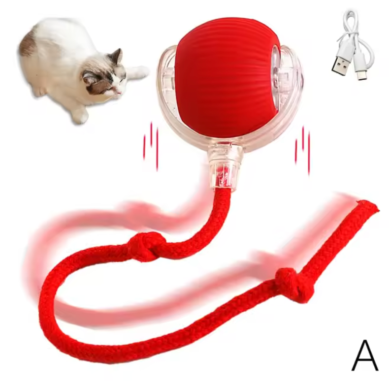 Interactive Automatic Rolling Ball with Fake Tail for Cats and Dogs