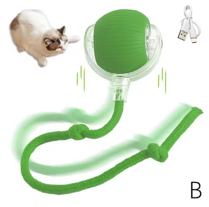 Interactive Automatic Rolling Ball with Fake Tail for Cats and Dogs