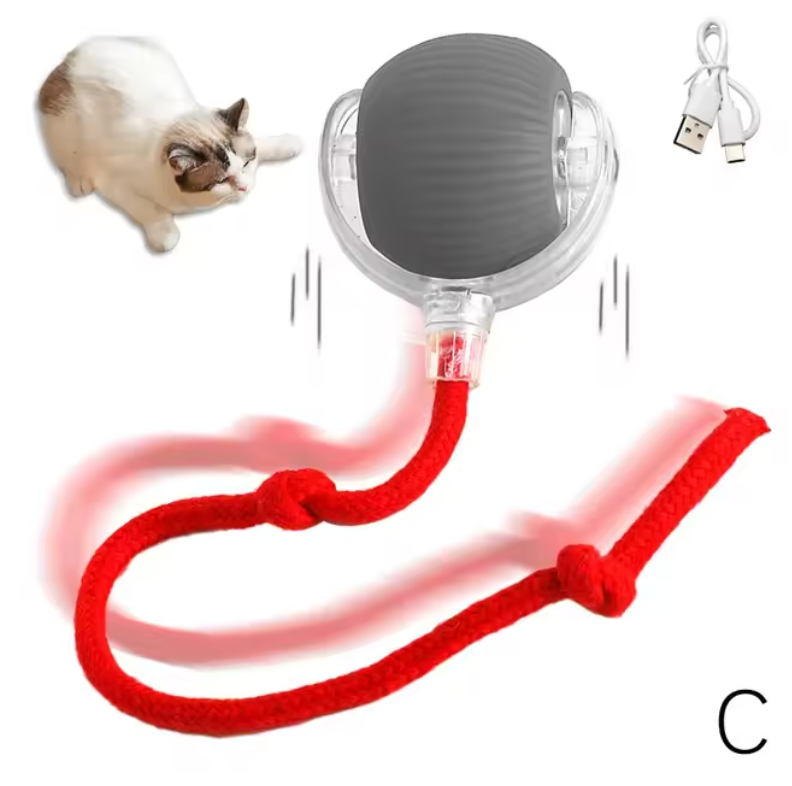 Interactive Automatic Rolling Ball with Fake Tail for Cats and Dogs