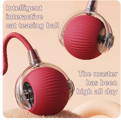 Interactive Automatic Rolling Ball with Fake Tail for Cats and Dogs