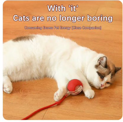 Interactive Automatic Rolling Ball with Fake Tail for Cats and Dogs