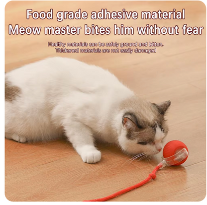 Interactive Automatic Rolling Ball with Fake Tail for Cats and Dogs