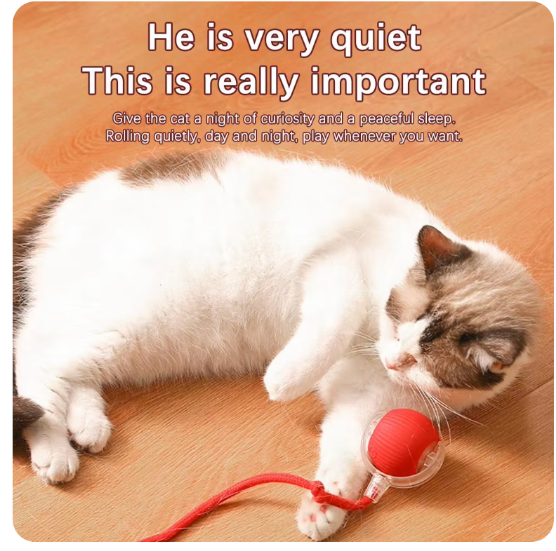 Interactive Automatic Rolling Ball with Fake Tail for Cats and Dogs