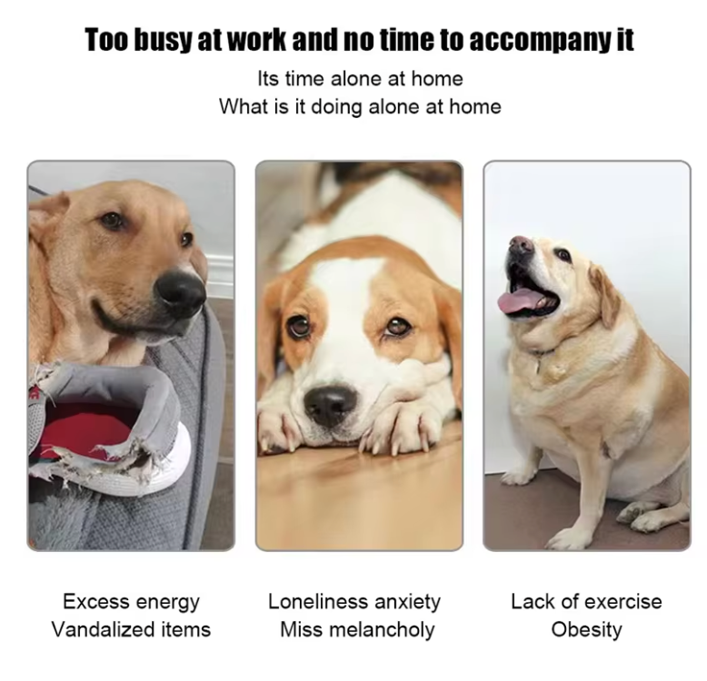 Automatic Ball Launcher