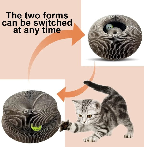 Cat Scratching Board Toy (Self-Nail Trimmer)