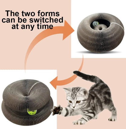 Cat Scratching Board Toy (Self-Nail Trimmer)