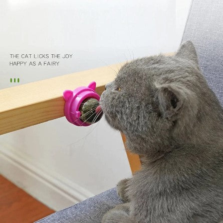 Natural Catnip Ball Treat (Pro-Digestion/Hairball Remover)