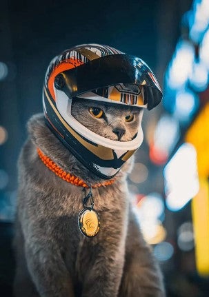 WagHelmet™ - Motorcycle Head Protection (For Cats & Small Breed Puppies ONLY)