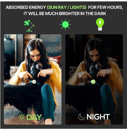 Bravvi Tag for Dogs & Cats (Fits All Collars)