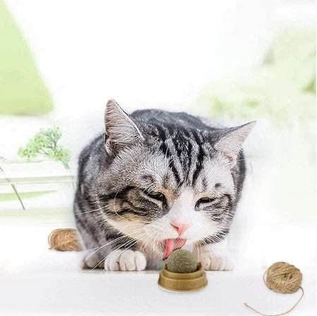 Natural Catnip Ball Treat (Pro-Digestion/Hairball Remover)
