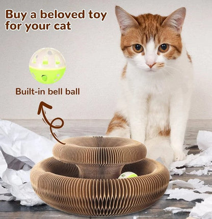 Cat Scratching Board Toy (Self-Nail Trimmer)