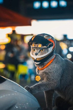WagHelmet™ - Motorcycle Head Protection (For Cats & Small Breed Puppies ONLY)