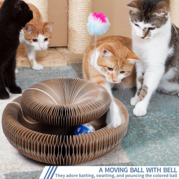 Cat Scratching Board Toy (Self-Nail Trimmer)