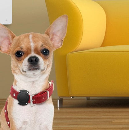 BravviTag WaterProof AirTag Case Attachment for Dogs & Cats