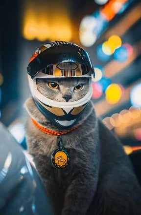 WagHelmet™ - Motorcycle Head Protection (For Cats & Small Breed Puppies ONLY)