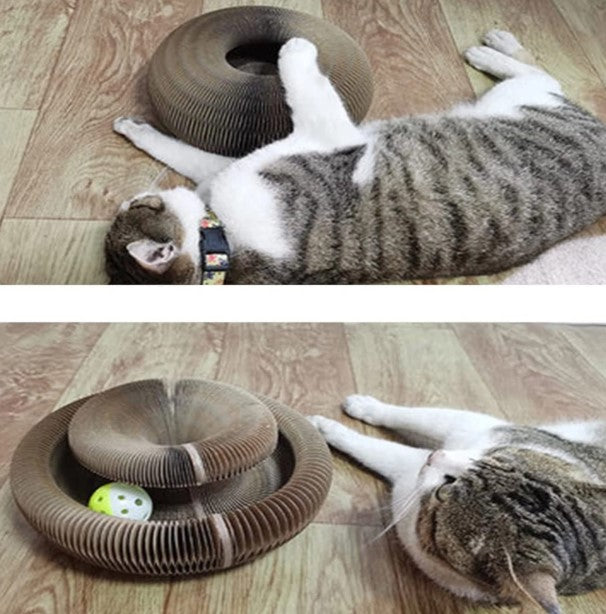 Cat Scratching Board Toy (Self-Nail Trimmer)