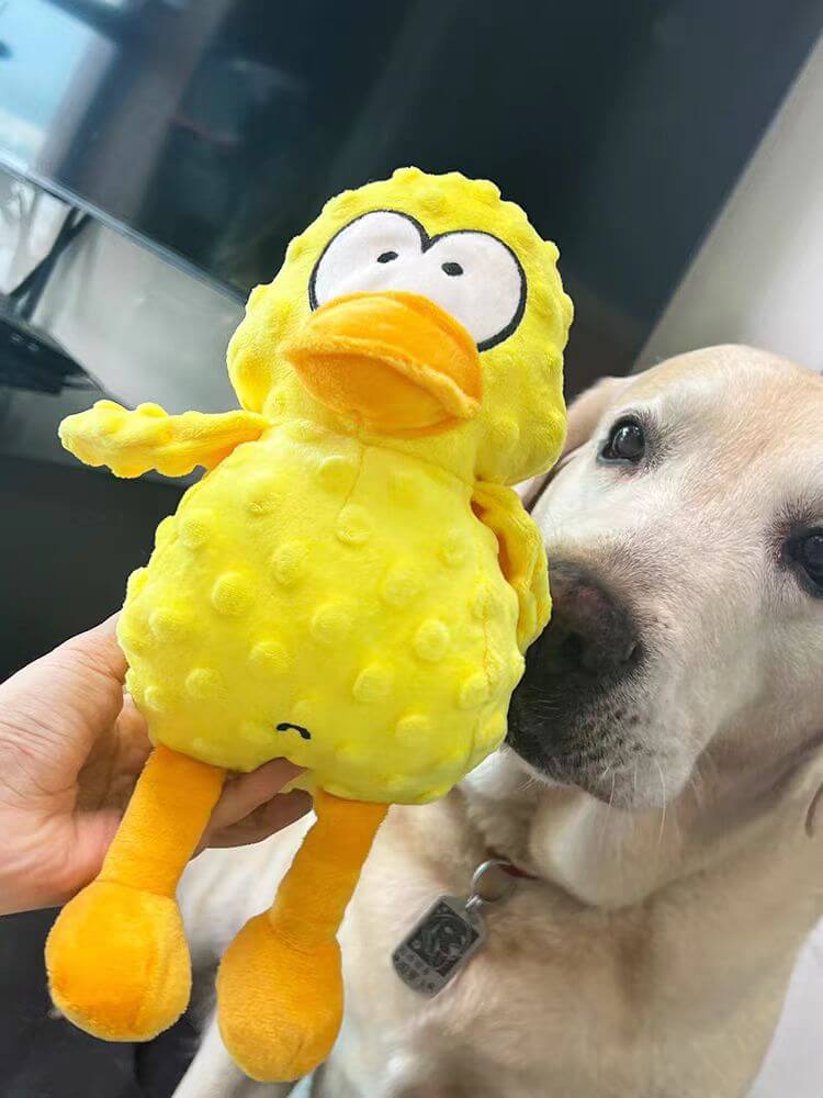 Calming Duck Toy