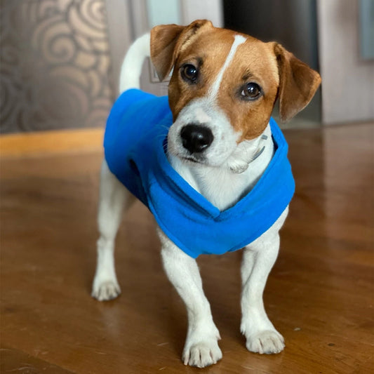 Cozy Dog/Cat Fleece Harness (Stretchy)