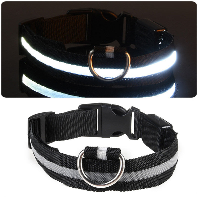 LED Dog Collar