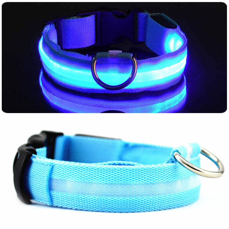 LED Dog Collar