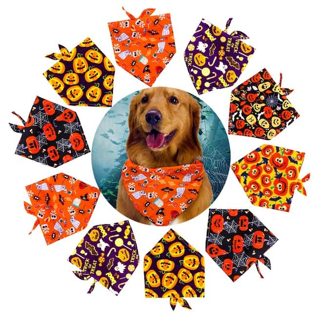 BravviBandana™ - Halloween Pet Bandanas (Fits All)