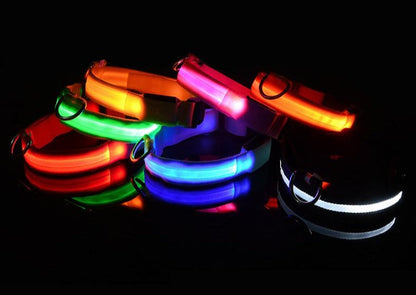 LED Dog Collar