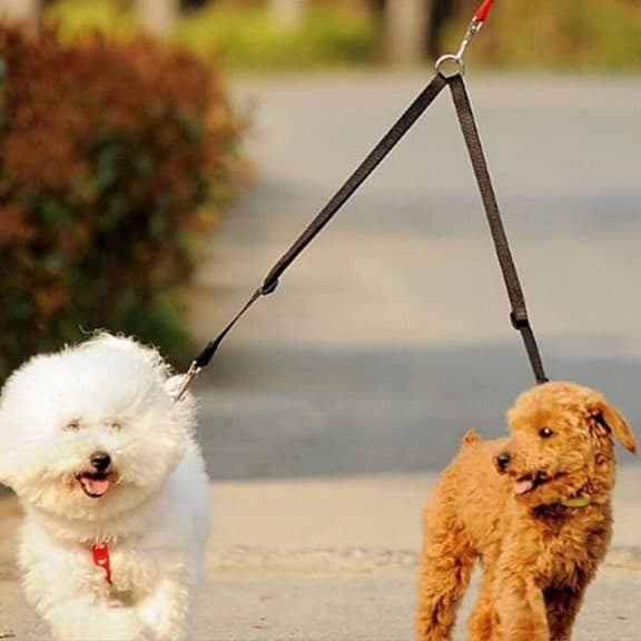 Double Dog Two-Way Leash (All-Size Dogs)