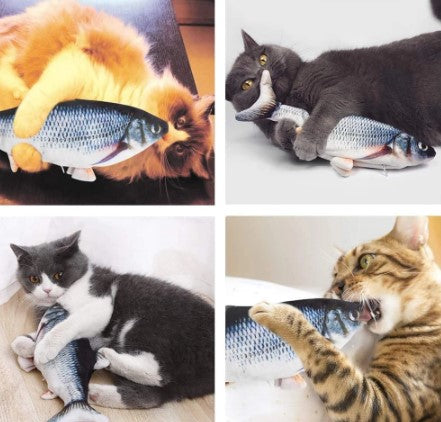 Fish Cat Toy