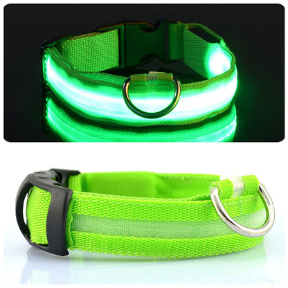 LED Dog Collar