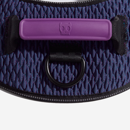 Dog collar