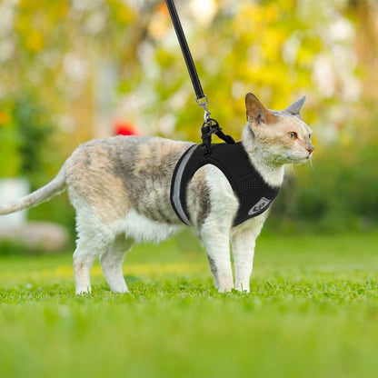 Reflective Pet Harness (Adjustable & Breathable)